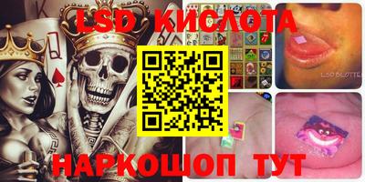 PSILOCYBIN Моздок