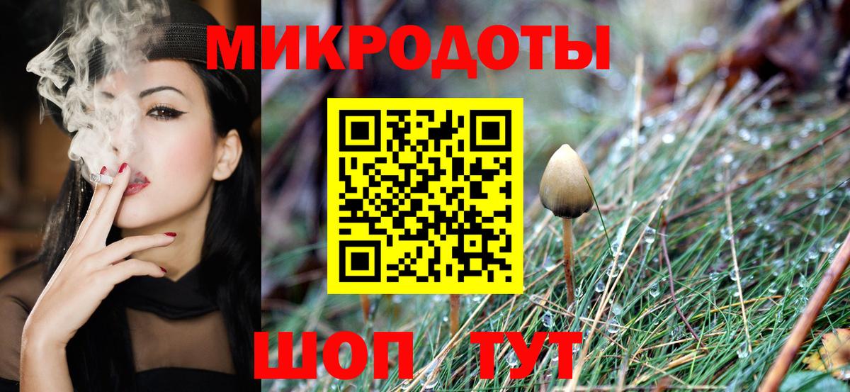 цена   Вход с VPN  Будённовск  Псилоцибиновые грибы Psilocybine cubensis 